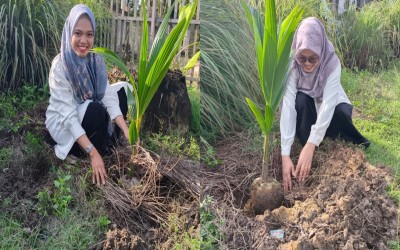 Dua Guru MTsN 2 Aceh Timur Tinggalkan Jejak Bermakna dengan Penanaman Kelapa Hybrida